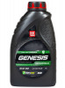  GENESIS ARMORTECH 5W30 DX1 ,  1 